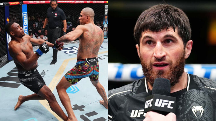 Jamahal Hill & Alex Pereira, Magomed Ankalaev