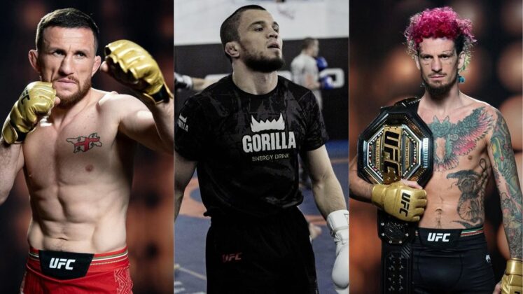 Merab Dvalishvili, Umar Nurmagomedov, and Sean O'Malley