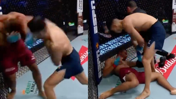 Dana White's Contender Series