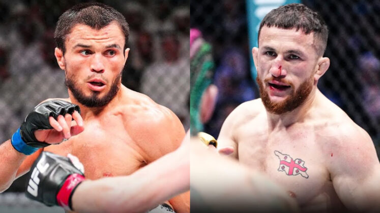Umar Nurmagomedov, Merab Dvalishvili