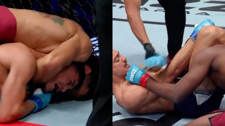 Dana White's Contender Series