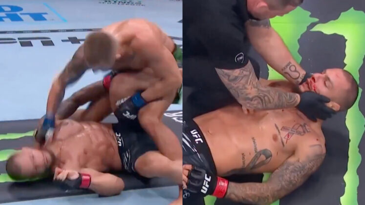 UFC 309: Oban Elliott, Bassil Hafez