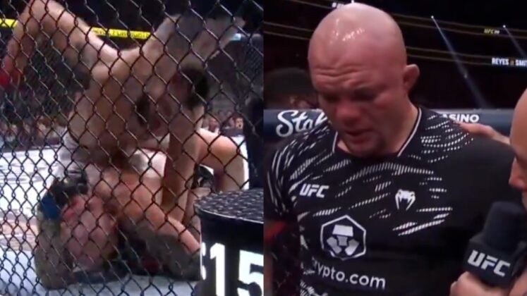 Anthony Smith, Dominick Reyes