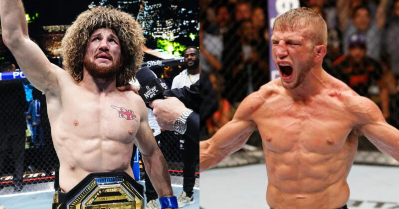 Merab Dvalishvili, TJ Dillashaw