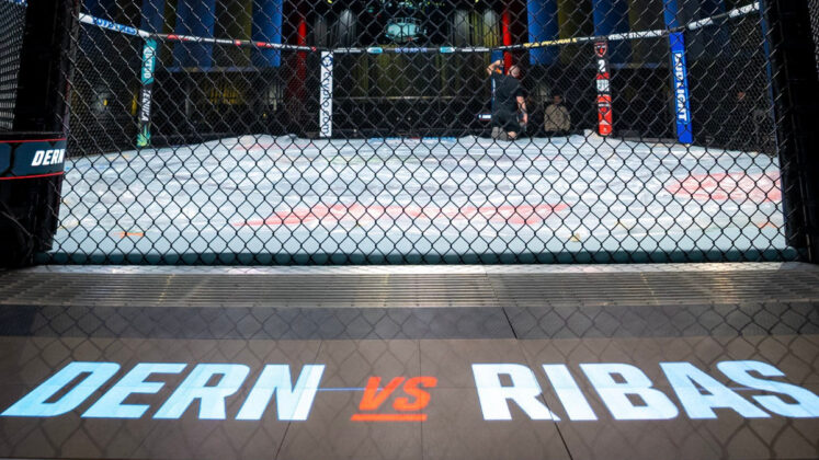 UFC Vegas 101